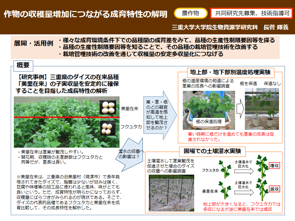 作物の収穫量増加につながる成育特性の解明