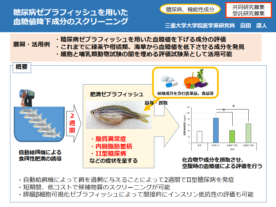 糖尿病ゼブラフィッシュを用いた血糖値低下有効成分のスクリーニング