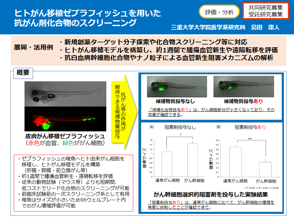 ヒトがん移植ゼブラフィッシュを用いた抗がん剤化合物のスクリーニング